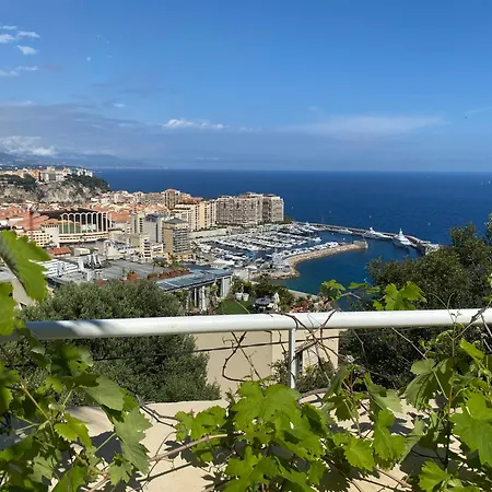, Piscine Aux Portes De Monaco *